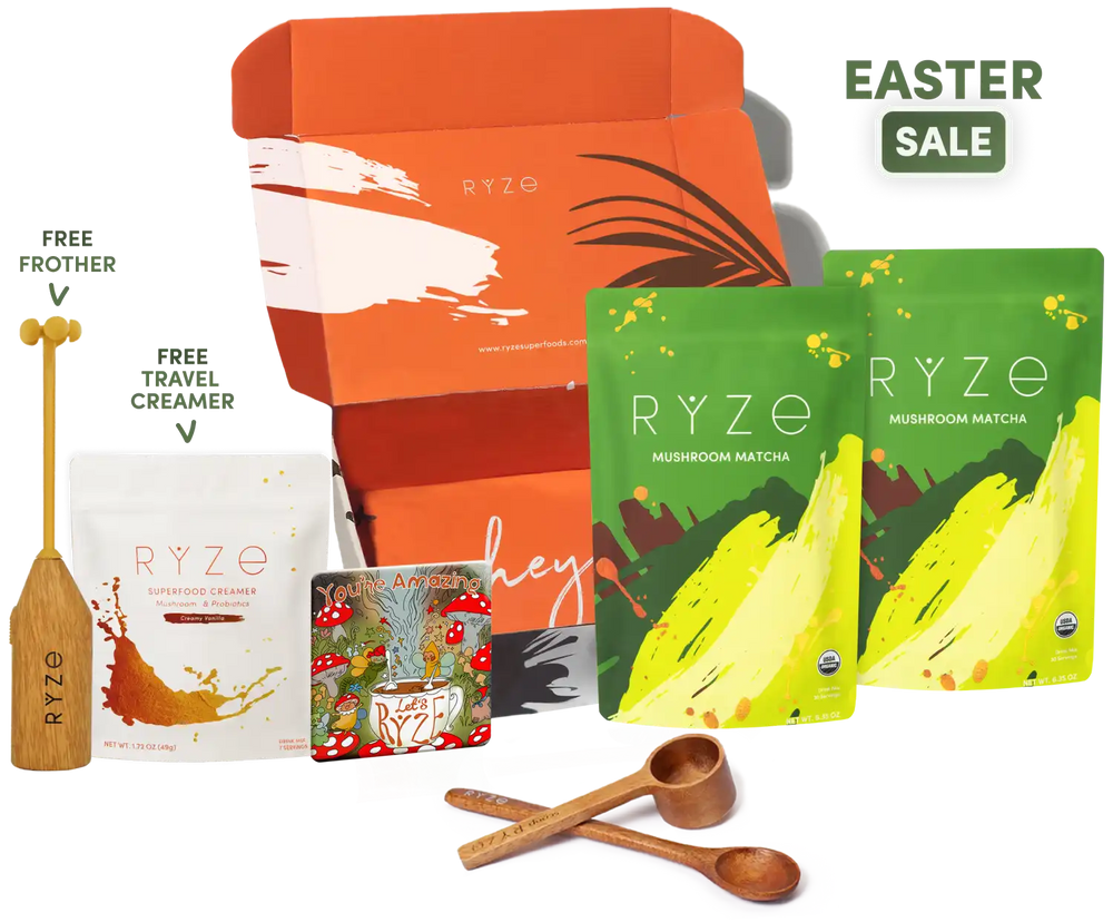 Mushroom Matcha Starter Kit (60 Servings)