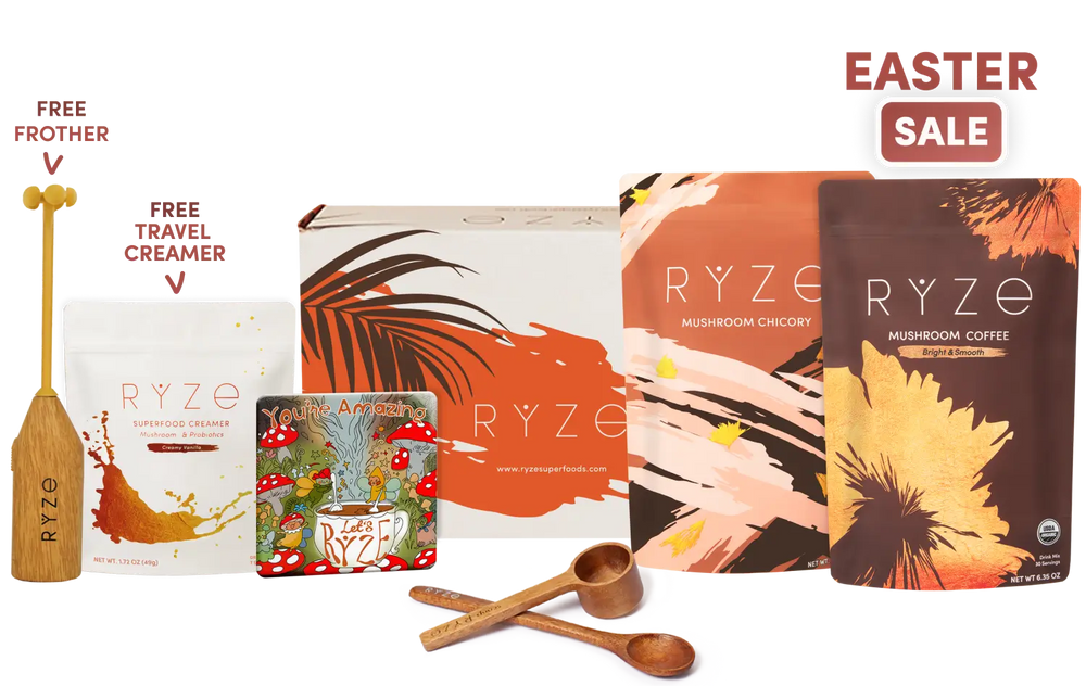 Lasting Energy Bundle (Chicory + Coffee)