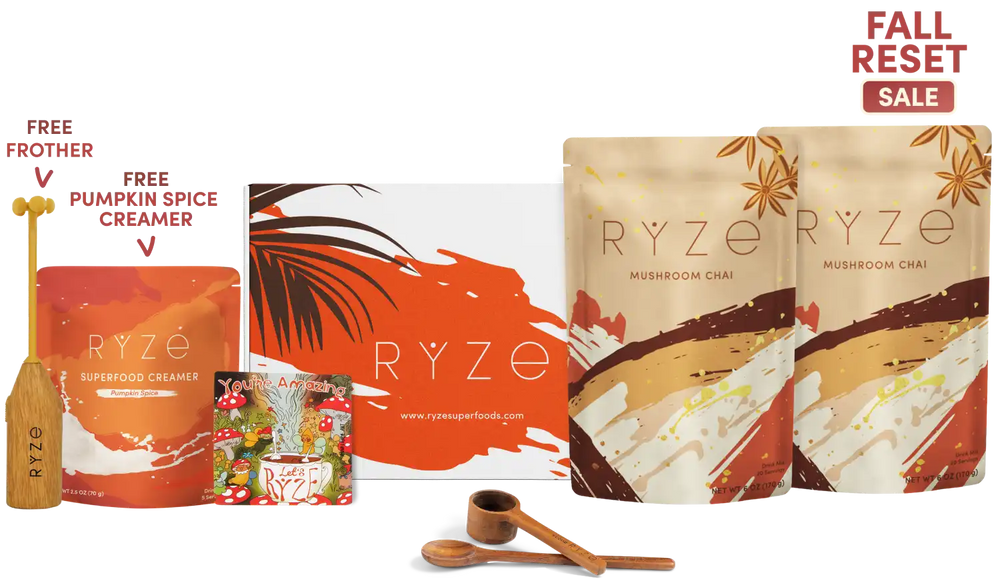 Ryze fall spice creamer gift set featuring mushroom chai pouches, a pumpkin spice creamer pouch, a free frother and a branded box on a white background with a red 'Fall Reset Sale' badge.