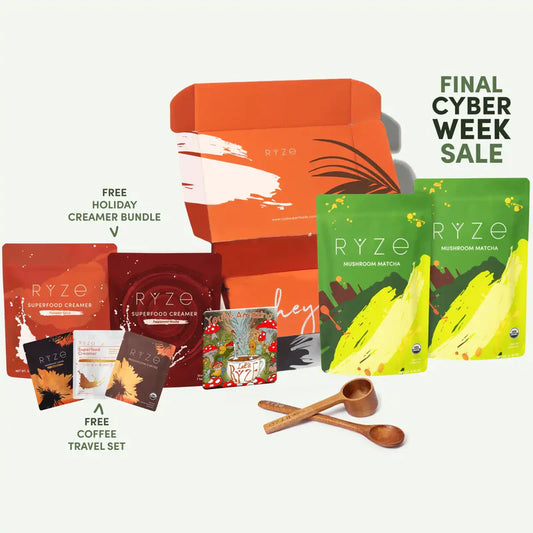 Mushroom Matcha Starter Kit (60 Servings)