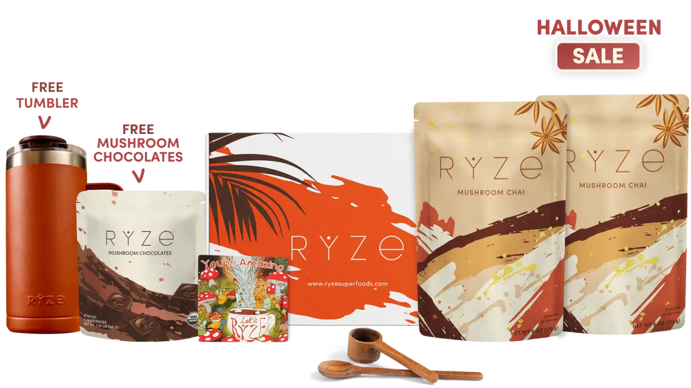 English.halloweeeen.sale.sale.website.mushroom-chai-starter-kit-40-servings_compressed.webp