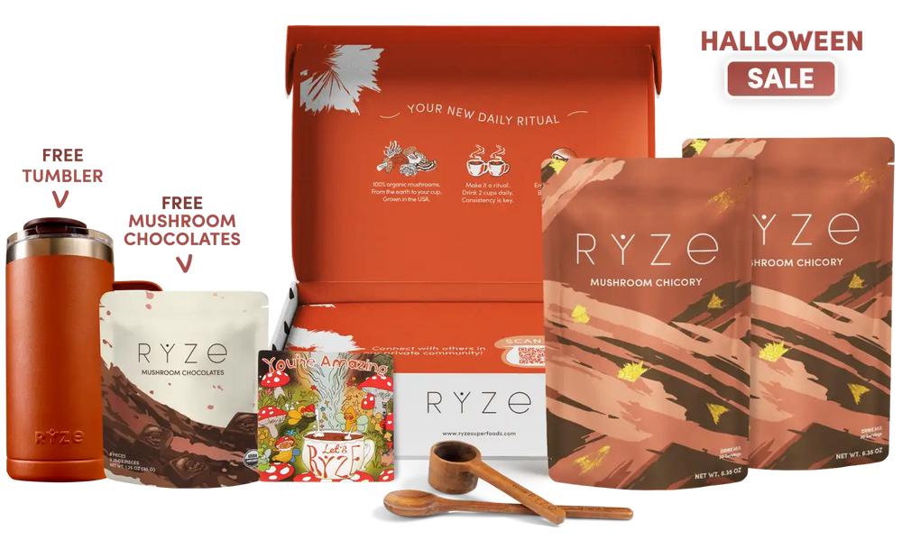 English.halloweeeen.sale.sale.website.mushroom-chicory-starter-kit-60-servings_compressed.webp