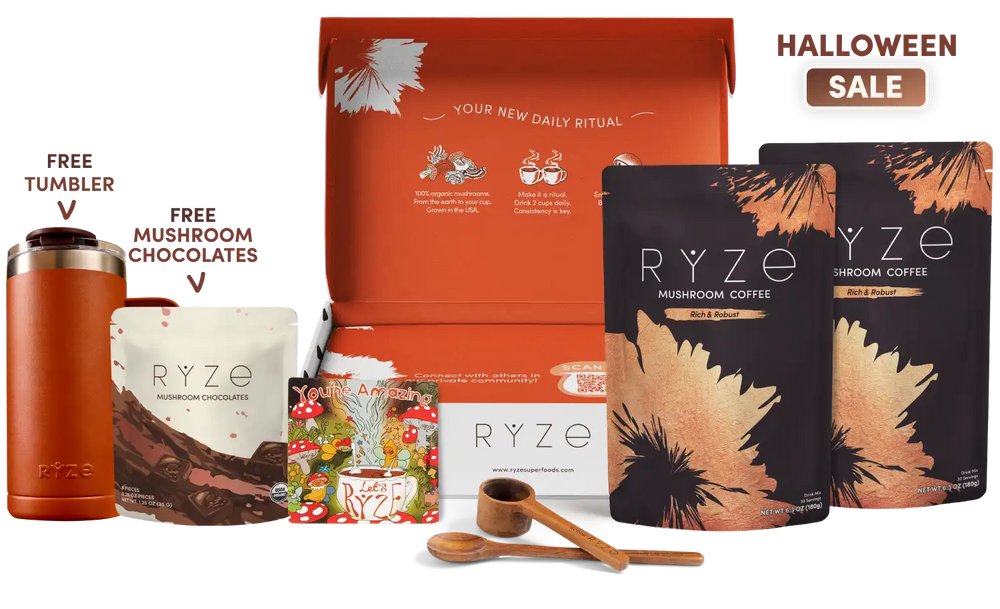 English.halloweeeen.sale.sale.website.mushroom-coffee-dark-roast-starter-kit-60-servings_compressed.webp