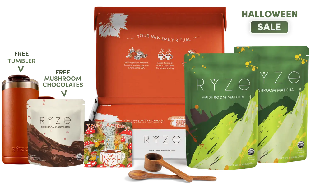 English.halloweeeen.sale.sale.website.mushroom-matcha-starter-60-servings_compressed.webp
