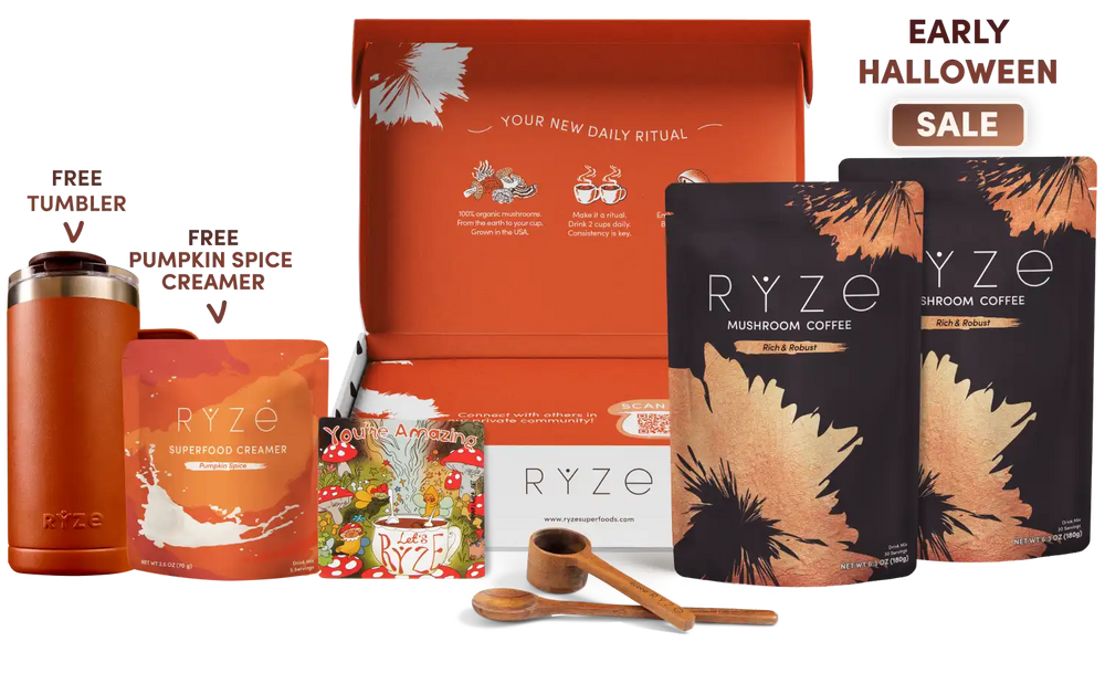 English.halloween.sale.sale.website.mushroom-coffee-dark-roast-starter-kit-60-servings_compressed.webp