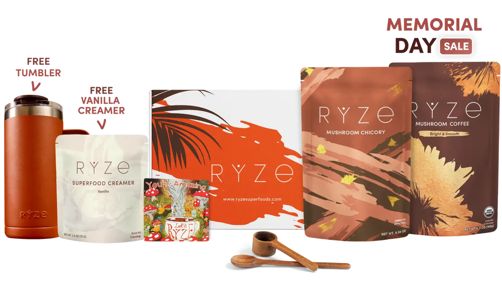 Lasting Energy Bundle (Chicory + Coffee)