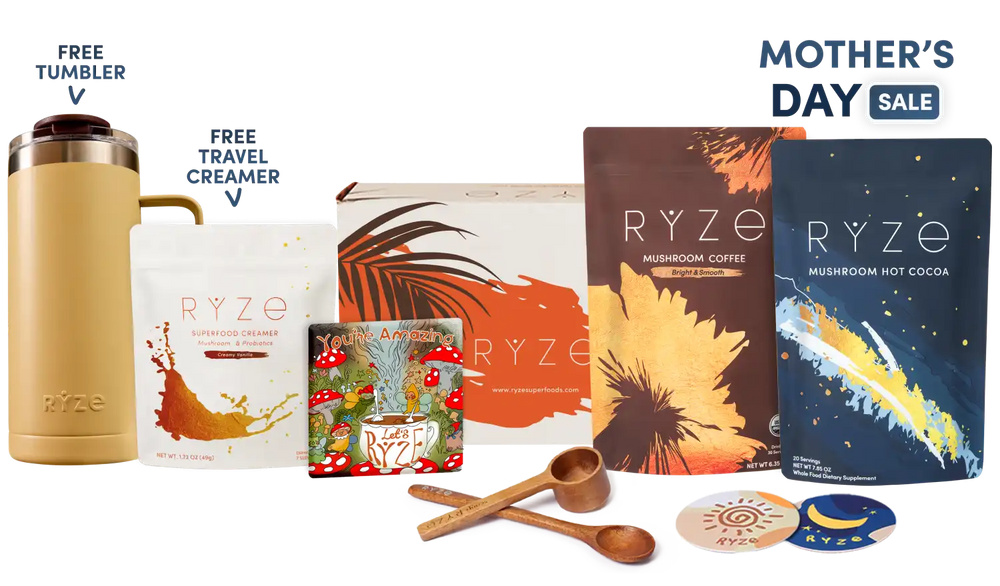 Day + Night Bundle (Coffee + Cocoa)