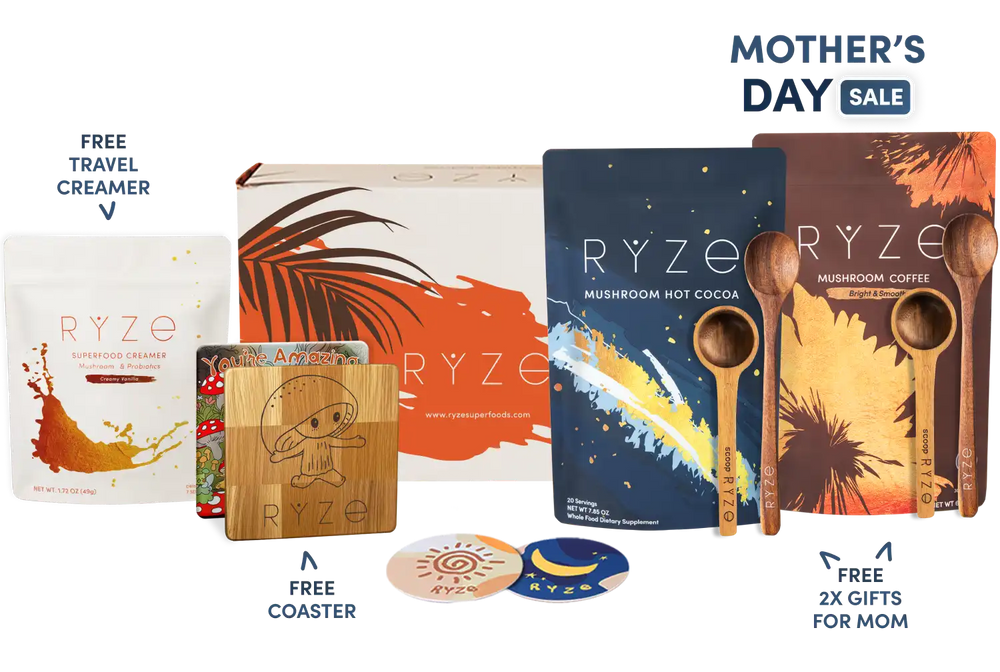 Day + Night Bundle (Coffee + Cocoa)