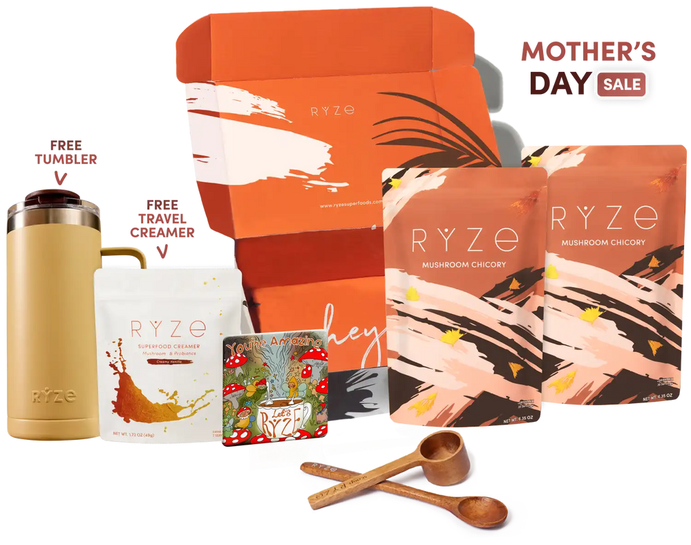 Mushroom Chicory Starter Kit (60 servings)