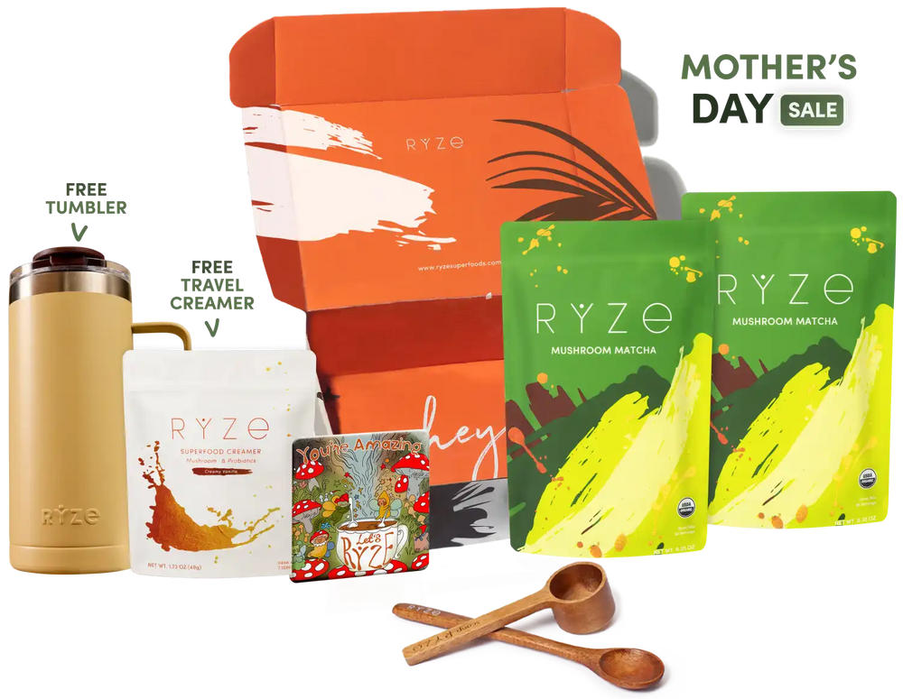 Mushroom Matcha Starter Kit (60 Servings)