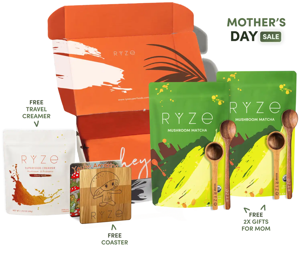 Mushroom Matcha Starter Kit (60 Servings)