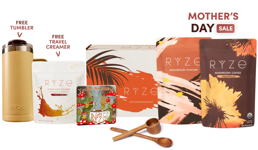 Lasting Energy Bundle (Chicory + Coffee)