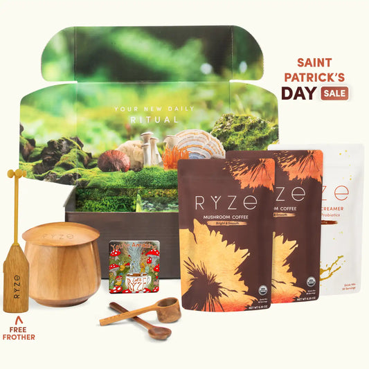 Mushroom Coffee Bright Blend Ritual Set