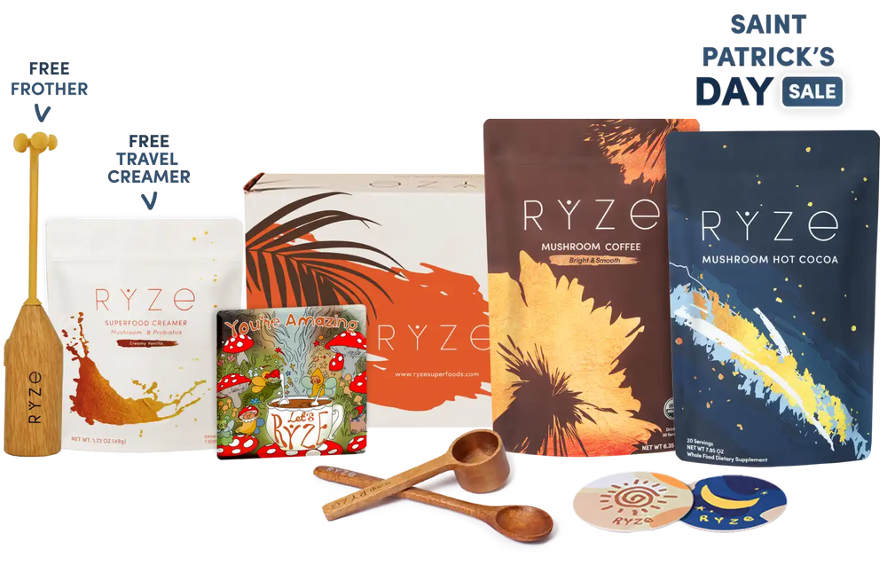 Mushroom Hot Cocoa (20 servings)