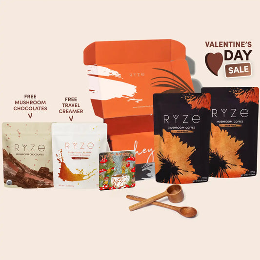 Mushroom Coffee Starter Kit