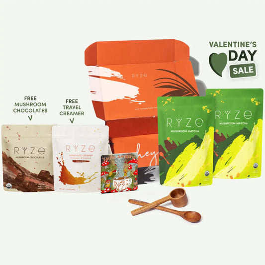 Mushroom Matcha Starter Kit (60 Servings)