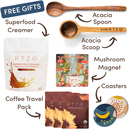 Collection of Ryze products including hot cocoa, wooden utensils, coasters, and a mushroom-themed magnet.