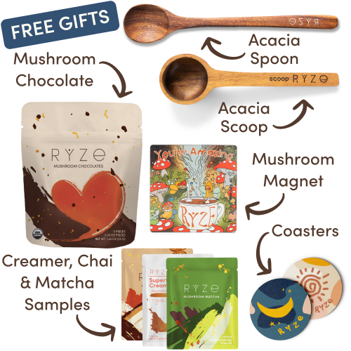 Day + Night Bundle (Coffee + Cocoa)