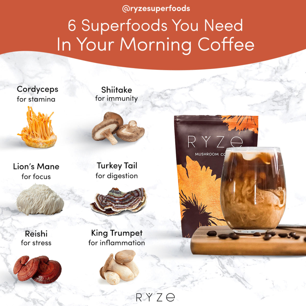 Mushroom Coffee Starter Kit: 60 Servings – RYZE