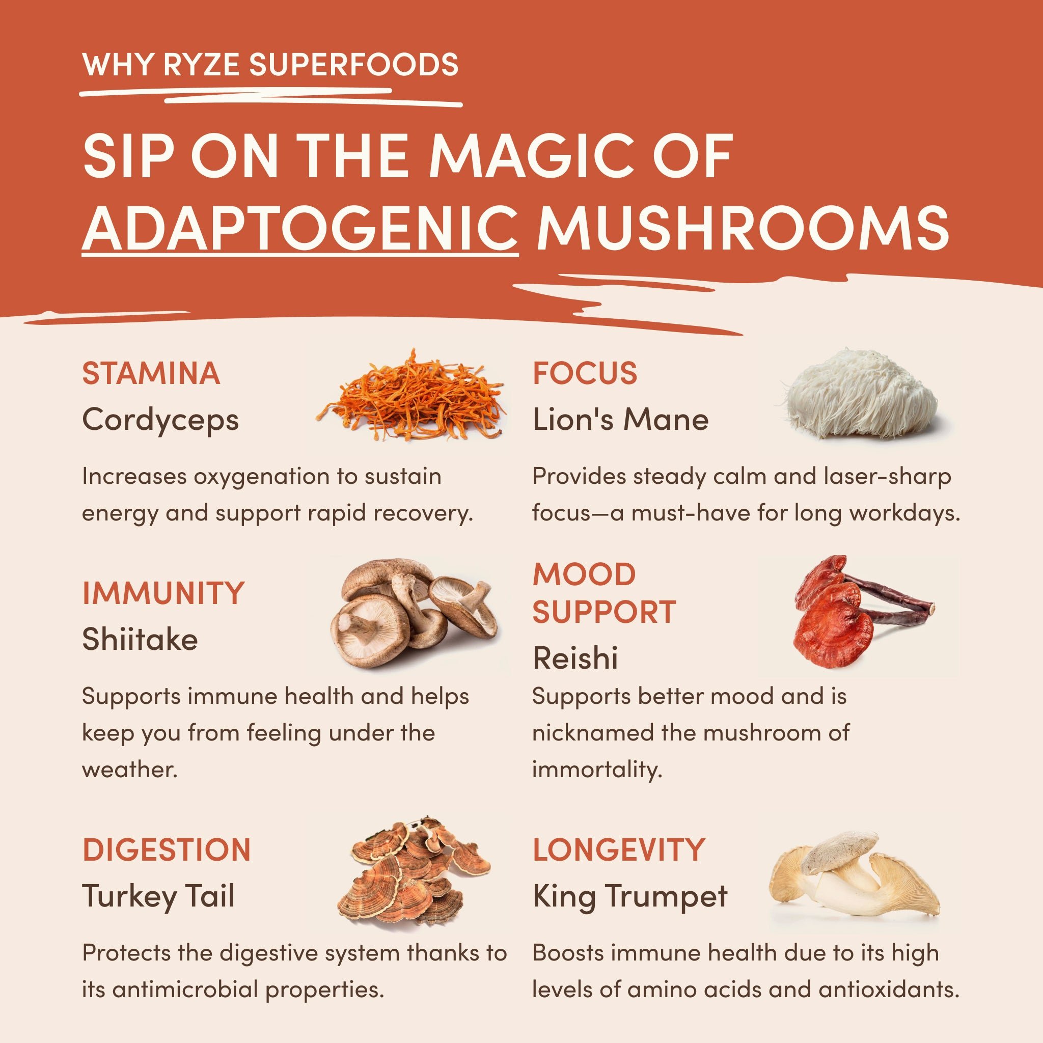 Mushroom Coffee (30 Servings)