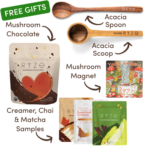 Mushroom Matcha Starter Kit (60 Servings)