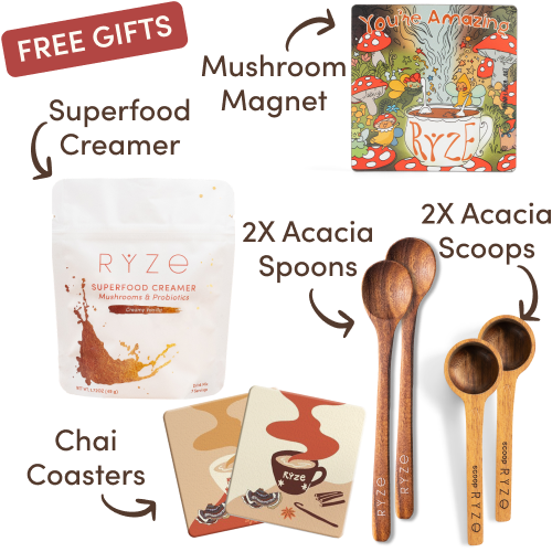 Mushroom hot cocoa, acacia spoon and scoop, coasters, and mushroom magnet with text labels.