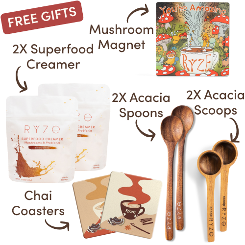 Mushroom Chicory Starter Kit (60 servings)