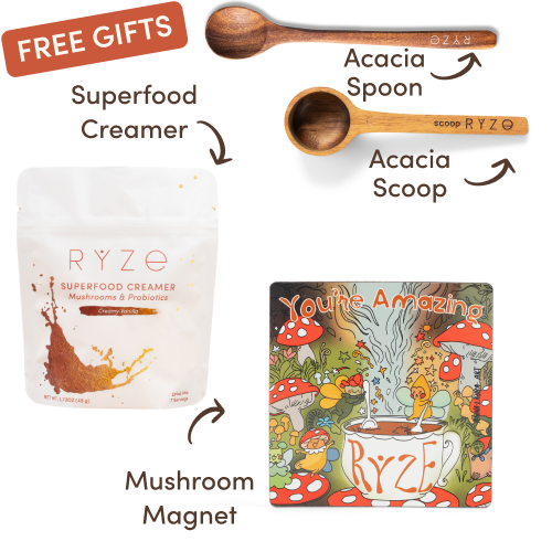 Mushroom Chicory Starter Kit (60 servings)