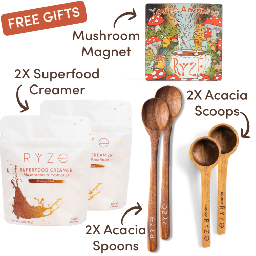 Mushroom Coffee Starter Kit (60 servings)