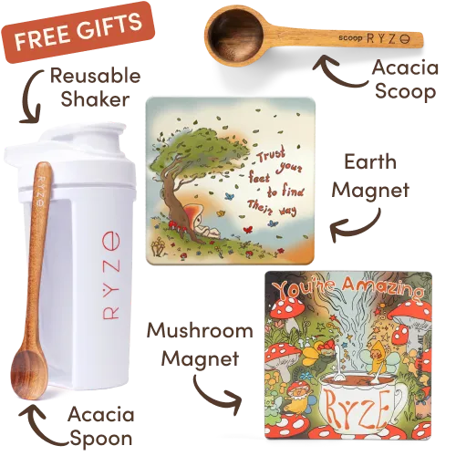 Mushroom Coffee Starter Kit (60 servings)