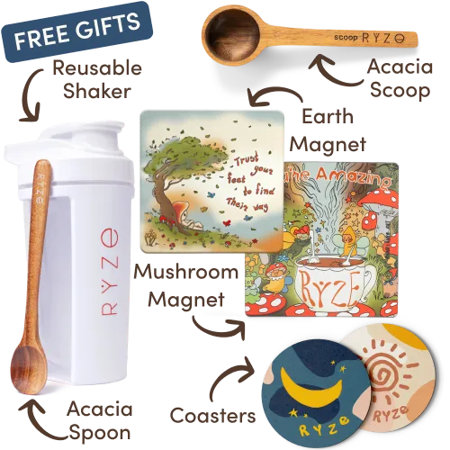Day + Night Bundle (Coffee + Cocoa)