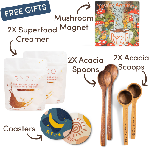 Day + Night Bundle (Coffee + Cocoa)