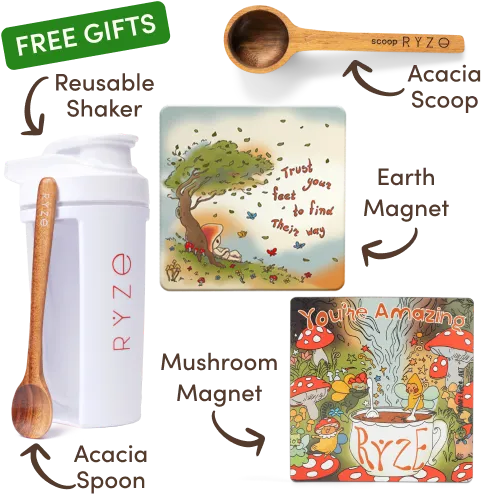 Mushroom Matcha Starter Kit (60 Servings)