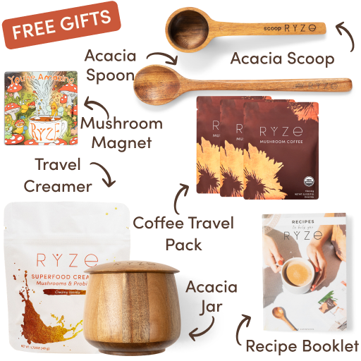 Ryze superfood creamer, acacia spoon, scoop, jar, mushroom magnet, and recipe booklet with 'Free Gifts' label.