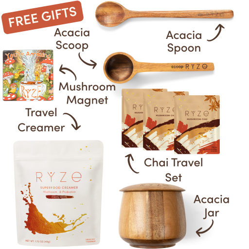 Ryze superfood creamer, acacia spoon, scoop, jar, mushroom magnet, and recipe booklet with 'Free Gifts' label.