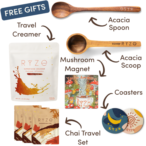 Collection of Ryze products including hot cocoa, wooden utensils, coasters, and a mushroom-themed magnet.