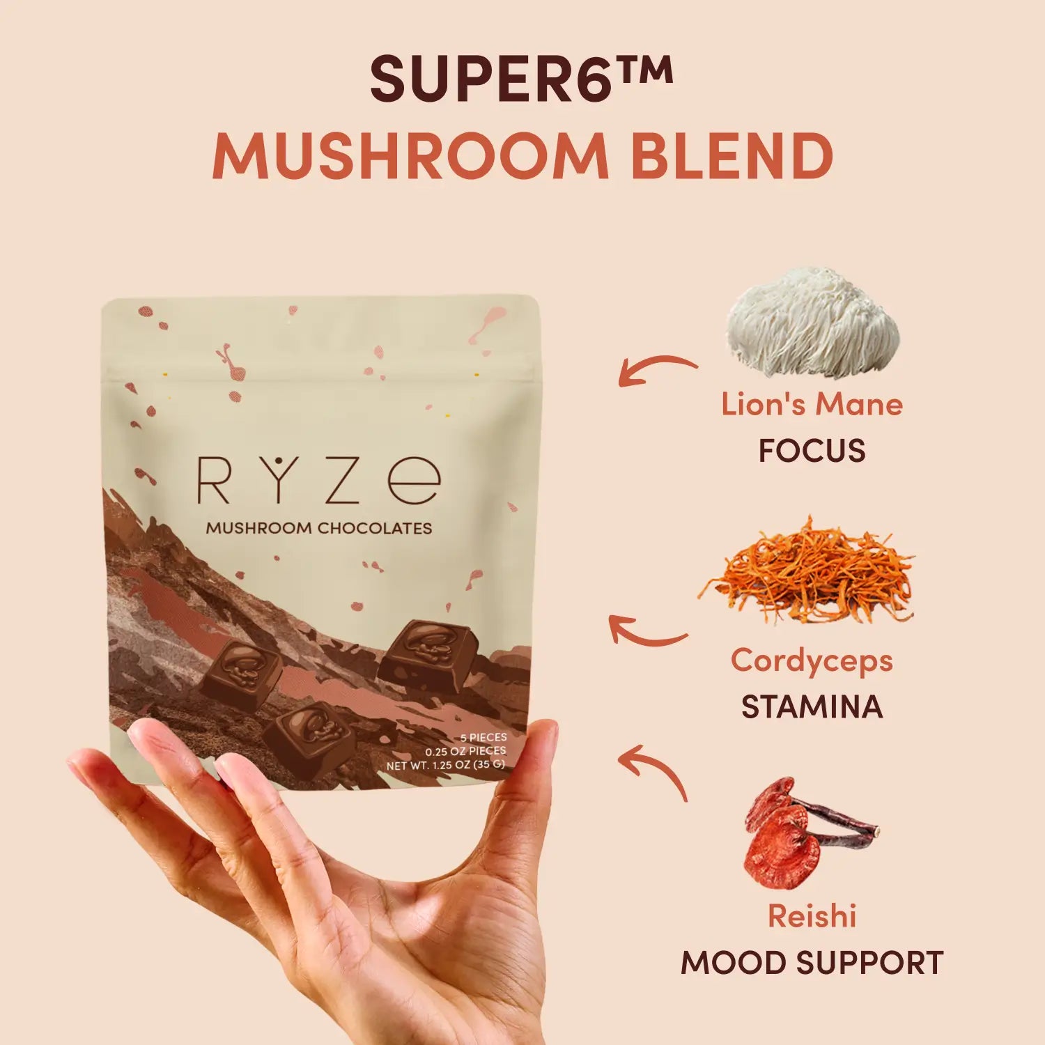 Chocolates de champignons (15 pièces)