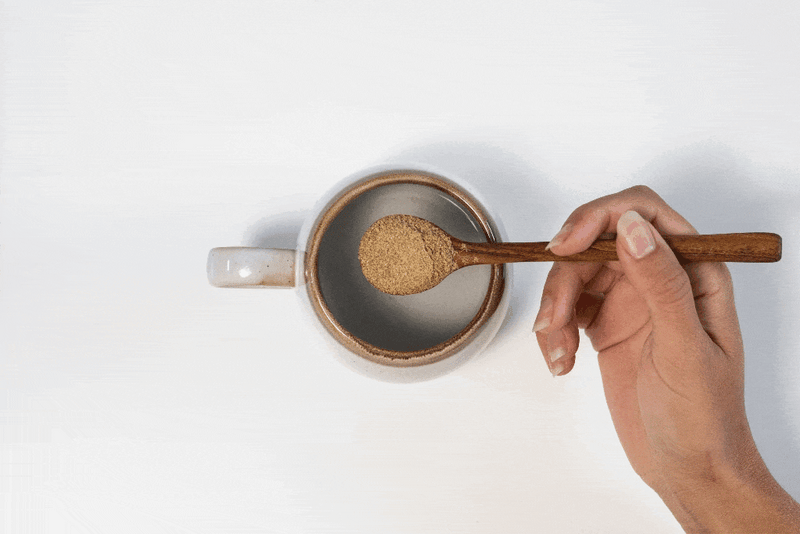 Mushroom Coffee – RYZE