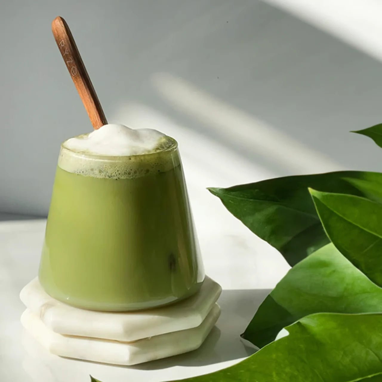 <tc>Hongos</tc> Matcha (30 <tc>porciones</tc>)