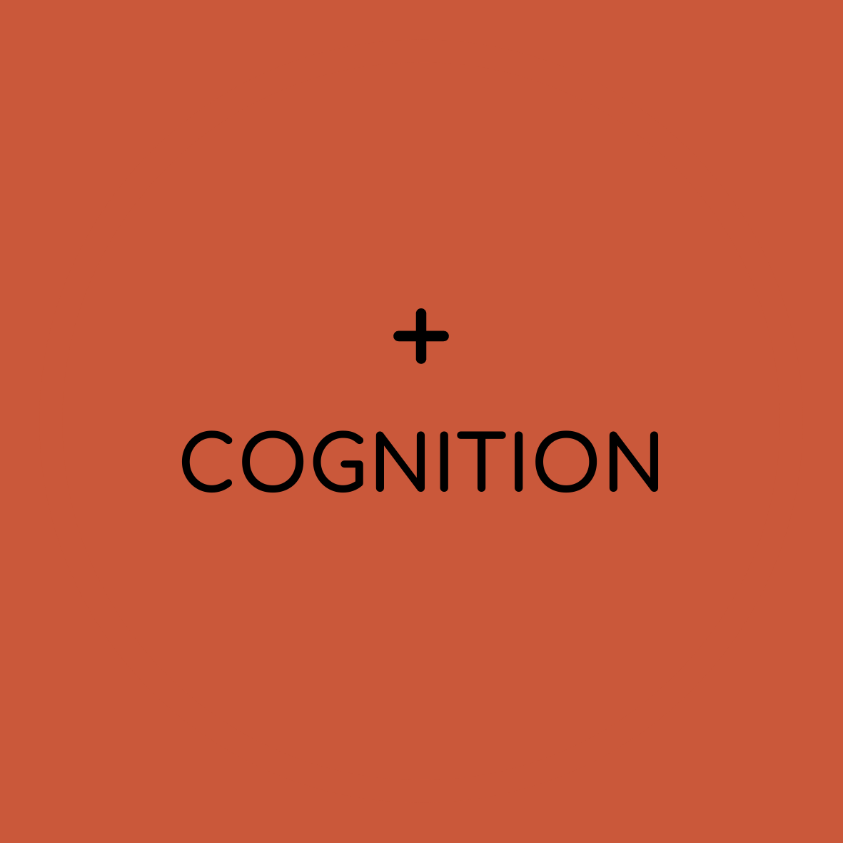 solid background with plus sign and "cognition"