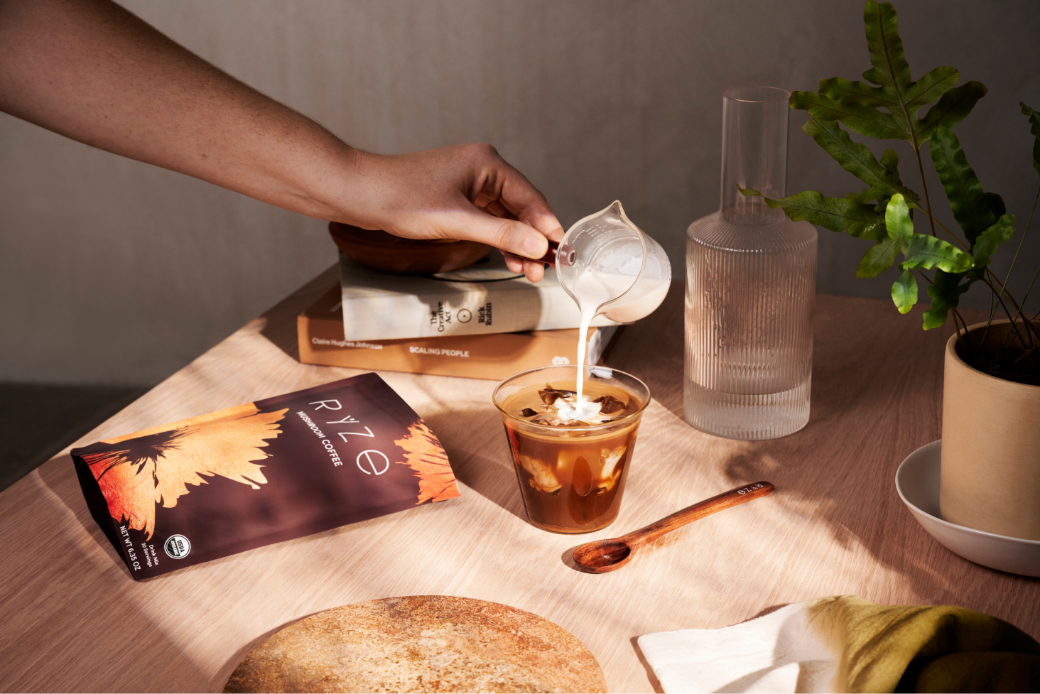 mushroom coffee vs regular coffee